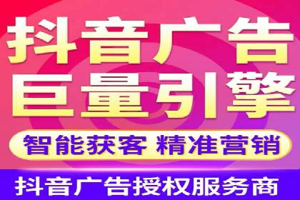 搜索引擎营销（SEM）的投放策略与效果评估——以某行业领先企业的案例分析
